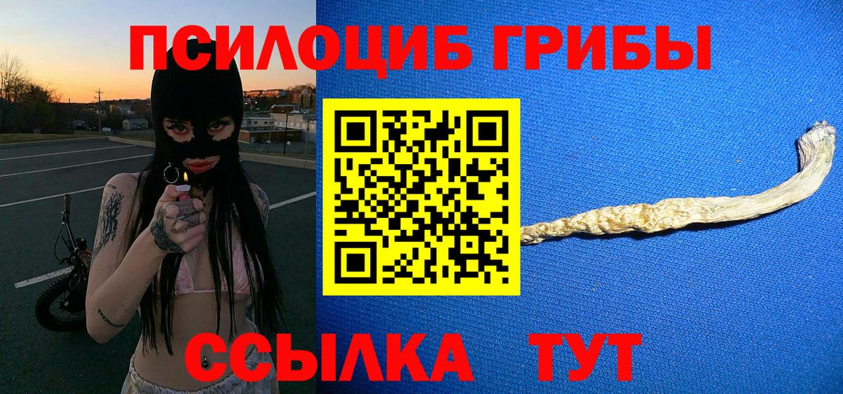 Псилоцибиновые грибы MAGIC MUSHROOMS  Вход с VPN  Галлюциногенные грибы Psilocybe  Михайловка 